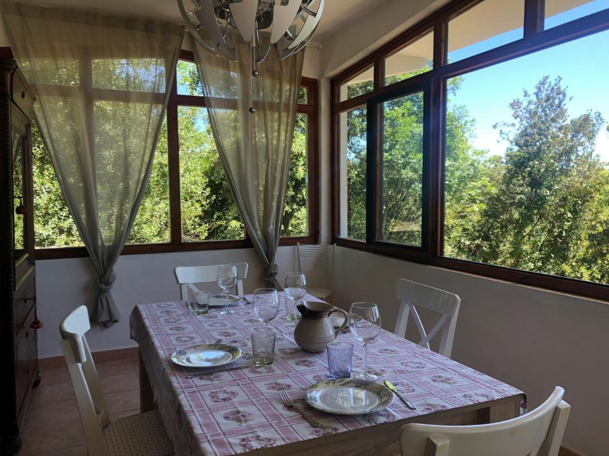 Erika Holiday home *
