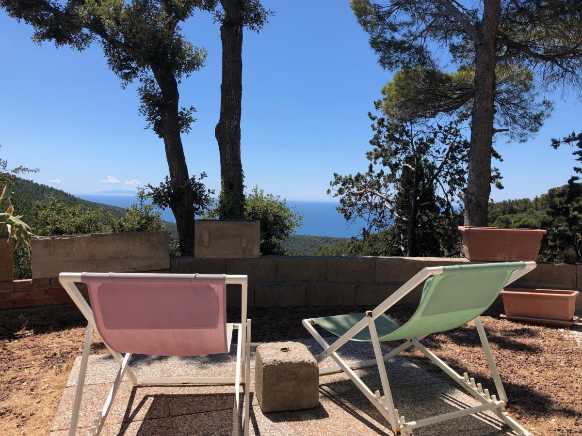 Erika Holiday home
